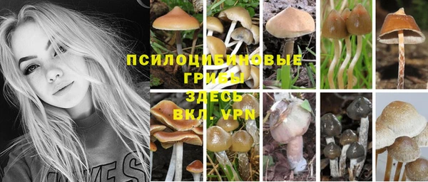 твердый Гусиноозёрск