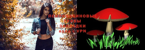 твердый Гусиноозёрск